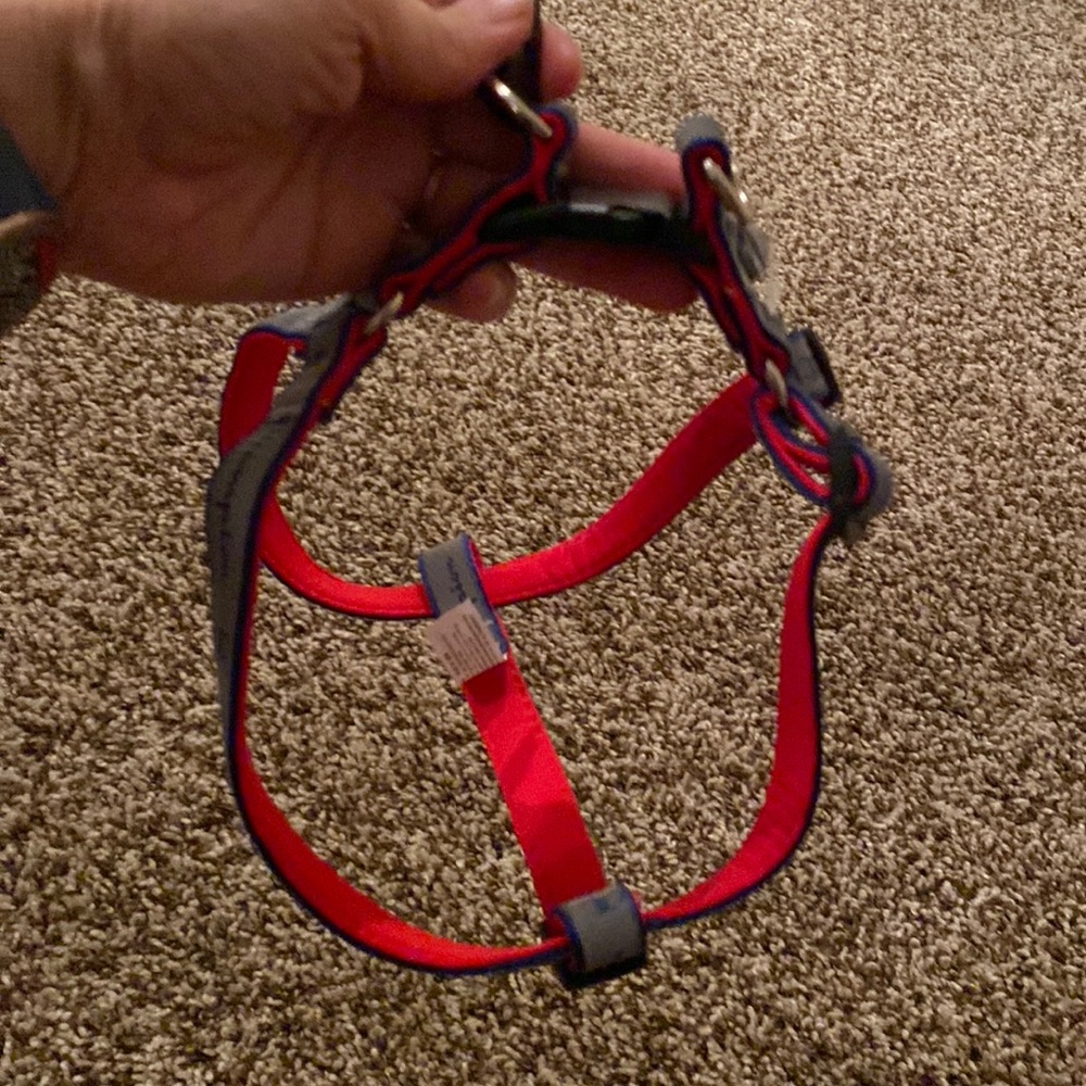 Champion dog harness with tags